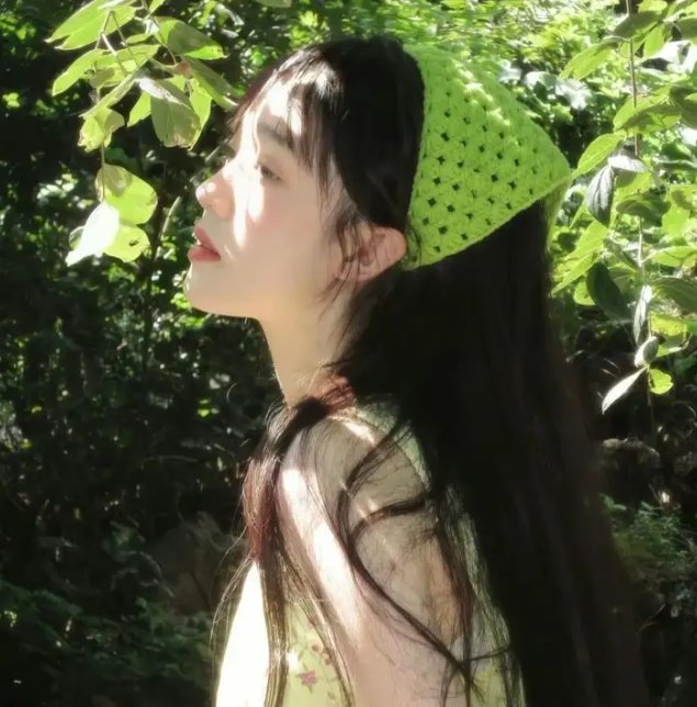 法网追凶